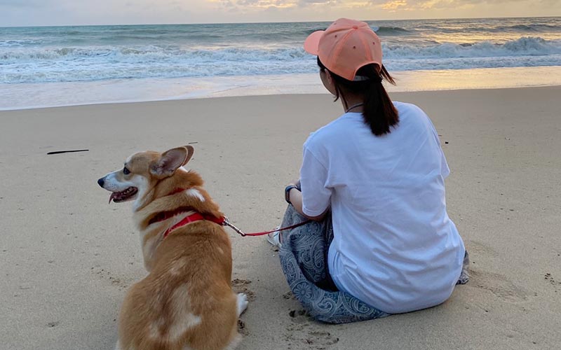 Pet Friendly Resort